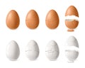 White And Brown Egg Set Royalty Free Stock Photo
