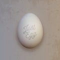 Realistic white chicken Egg Royalty Free Stock Photo