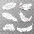 Realistic white feathers. Birds plumage, falling fluffy twirled feather, flying angel wings feathers. Realistic isolated vector Royalty Free Stock Photo