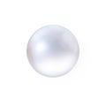 Realistic white pearl with shadow isolated on white background Royalty Free Stock Photo