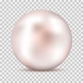 Realistic white pink pearl with shadow isolated on transparent background Royalty Free Stock Photo