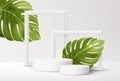 Realistic white Product podium with white picture frames and green tropical monstera leaves isolated on white background