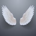 Realistic white wings with shadow Royalty Free Stock Photo