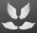 Realistic wings. Beautiful isolated angel wings, pair of 3d birds white feathers, freedom and spiritual symbols flight Royalty Free Stock Photo