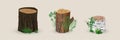 Realistic wood stumps mockup