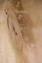 Realistic wood veneer Royalty Free Stock Photo