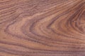 Realistic wood veneer with interesting growth rings Royalty Free Stock Photo