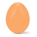 Cool realistic world record egg vector Icon Royalty Free Stock Photo