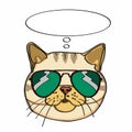 Realistic yellow cat head and sunglasses and thinking balloon Royalty Free Stock Photo