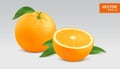 Realistic yellow orange vector illustration, icon. Whole and half slice of orange Royalty Free Stock Photo