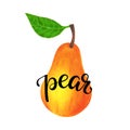 Realistic yellow pear with leaf with lettering word pear. isolated on white background. Vector illustration Royalty Free Stock Photo