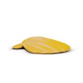Realistic yellow shell lies on white background with shadow