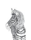 A realistic a zebra with a floral scarf