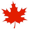 Red maple leaf on white background Royalty Free Stock Photo