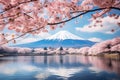 Mountains, mountains must have friends like cherry blossoms.