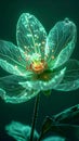 Futuristic Digital Bloom of Glowing Light Royalty Free Stock Photo