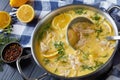 Reamy greek chicken soup in a pot