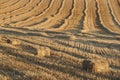 Reaped wheat fields in Antequera, Malaga. Spain Royalty Free Stock Photo