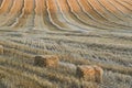 Reaped wheat fields in Antequera, Malaga. Spain Royalty Free Stock Photo