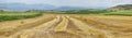 Reaped wheat fields in La Noguera Royalty Free Stock Photo