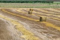 Reaped wheat fields in La Noguera Royalty Free Stock Photo