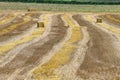 Reaped wheat fields in La Noguera Royalty Free Stock Photo