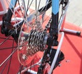 Rear bicycle cog cassette Royalty Free Stock Photo