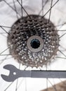 Rear bicycle cog cassette bearing maintenance required close-up. Ready for repair, clean and lubricating after winter storage. Royalty Free Stock Photo