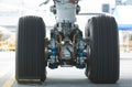 Rear landing gear of wide-body airplane