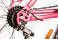 Rear mountain bike cassette on the wheel with chain, pink frame of bicycle, isolated on white background Royalty Free Stock Photo