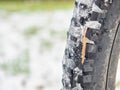 Rear mtb wheel with fat tire for extreme terrain.  Close up of a tire Royalty Free Stock Photo