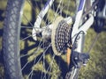 Rear racing bike cassette on the wheel with chain Royalty Free Stock Photo