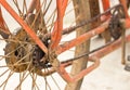 Rear racing bike cassette on the wheel with chain Royalty Free Stock Photo