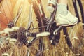 Rear racing bike cassette on the wheel with chain Royalty Free Stock Photo
