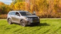 Rear side of gray car parked on the grass with background of yellow and orange trees. Toyota car front side a wide field with