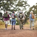 Rear View Of Active Senior Friends Enjoying Hiking Through Countryside Walking Along Track Together Royalty Free Stock Photo