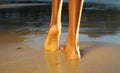 Rear view african american woman walking on the beach Royalty Free Stock Photo