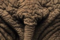 Rear View of an African elephant near lake manyara Royalty Free Stock Photo