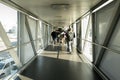 Rear view of an Airline Passengers in the airport bridge, Jet bridge where passengers connect with the plane. airport terminal.