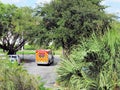 Rear view of ambulance fire engine in Florida