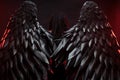 Rear view on angel with black wings Royalty Free Stock Photo