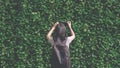 Rear view of Asian female tourist using digital camera to taking picture of green creeper plant wall at public park Royalty Free Stock Photo