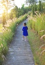 Rear view Asian little kid girl walking on walkway in wild grass field at sunrise Royalty Free Stock Photo