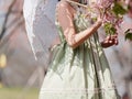 Rear view of Asian woman wearing green lolita dress and holding white lace umbrella in cherry blossom park in spring Royalty Free Stock Photo