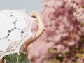 Rear view of Asian woman wearing green lolita dress and holding white lace umbrella in cherry blossom park in spring Royalty Free Stock Photo