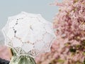 Rear view of Asian woman wearing green lolita dress and holding white lace umbrella in cherry blossom park in spring Royalty Free Stock Photo