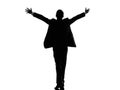 Rear view back business arms outstretched man silhouette Royalty Free Stock Photo