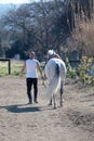 Back view of a bald cowboy man walking with his white horse Royalty Free Stock Photo