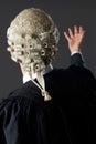 Rear View Of Barrister Making Speech In Court Royalty Free Stock Photo