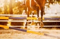 A rear view of a bay horse that jumps over a high barrier, kicking up dust with its hooves on a summer day. Equestrian sports and
